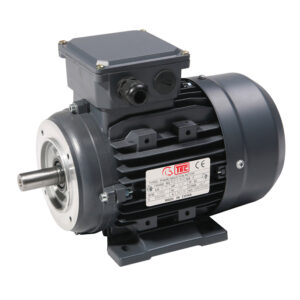 2.2kw 230/400V 3相50Hz IE2 2极电机TECA2-100L-1-4